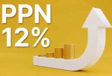 Mulai Januari 2025, PPN 12 Persen Diberlakukan, Ini Daftar Barang yang Terdampak