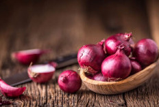 Gaya Hidup Sehat Dimulai dari Dapur ! Kenali Khasiat Bawang Merah