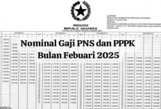 Catat! Ini Daftar Rincian Gaji PPPK Golongan I Hingga XVII