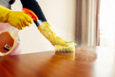 Debu Cepat Muncul Lagi ? Ini Solusi Praktis Agar Rumah Tetap Bersih !