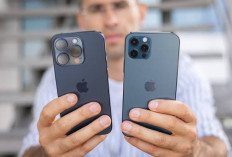 Oktober Ini, iPhone 12 Hingga 15 Turun Harga, Bahkan iPhone 12 Mulai Rp 7 Jutaan Lho