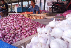 Harga Sejumlah Bahan Pokok di Rejang Lebong Turun, Berikut Daftarnya!