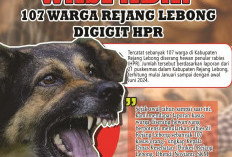 Waspada! 107 Warga Rejang Lebong Digigit HPR