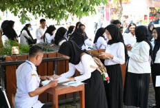 Kabar Baik! Batas Usia CPNS 2025 Naik hingga 40 Tahun untuk Jabatan Tertentu