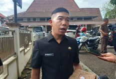 Ada PPPK Tahap I Terlibat Parpol dan Fiktif 