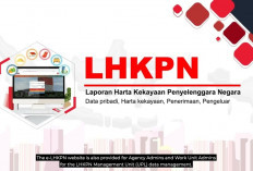 Laporan LHKPN Pejabat Negara Bukan Formalitas, KPK Tegaskan Ini!