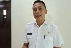 Pembentukan Koperasi Merah Putih Sudah Rampung 100 Persen