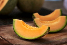 Fakta Menarik Manfaat Buah Melon untuk Wanita dalam Kehidupan Sehari-hari