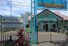 Kucuran Bantuan Transmigrasi, Infrastruktur dan Sekolah Jadi Prioritas