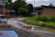 Arus Mudik di Tengah Cuaca Ekstrem, Pemudik Diminta Lebih Hati-Hati Melintasi Lebong Selatan