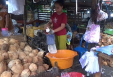 Harga Kelapa dan Santan di Rejang Lebong Melambung Tinggi