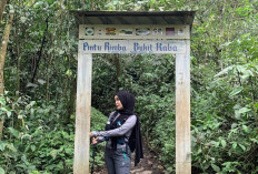 Taman Wisata Alam Bukit Kaba Ditutup, Ini Alasannya!