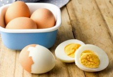 Inilah Manfaat Telur Rebus yang Jarang Diketahui, Bisa Jadi Opsi Sehatmu !