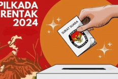 Ini Info Pengumuman Seleksi Administrasi KPPS Pilkada 2024?