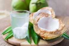 Apa yang Terjadi pada Tubuh Jika Meminum Air Kelapa Tiap Hari?