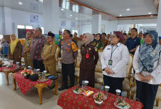 15 Mall Diresmikan Termasuk Rejang Lebong, Ini Daftarnya!