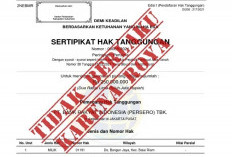 Urus Roya, Pastikan Tanah Aman Usai Lunasi Cicilan KPR