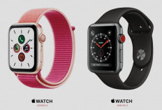 Ini 4 Rekomendasi Apple Watch Terbaik 2024