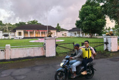  Masuk Istana, Oleh: Dahlan Iskan