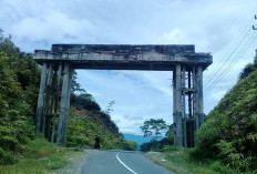 Gugatan Tabat Lebong-BU Segera Dicabut