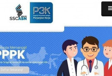 Ini 6 Berkas yang Wajib Disiapkan Saat Mendaftar Seleksi PPPK 2024