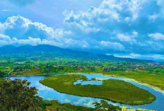 Pesona Dua Wisata Danau di Rejang Lebong Wajib Kamu Kunjungi Jika ke Bumi Pat Petulai