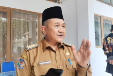 Guru Swasta Bisa Ikut Tes PPPK, Begini Kata Sekda Rejang Lebong