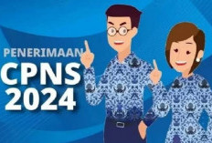 Ini Cara Cek Formasi dan Jadwal Terbaru Seleksi CPNS 2024