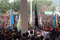 Kapolri Singgung Anarkis, Apa Bedanya dengan Anarko dan Anarkisme ? Ini Penjelasan Lengkap