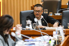 MBG Hadapi Persoalan Serius, Ini Langkah Komisi IX