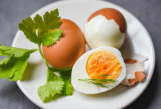 Panduan Lengkap Cara Memasak Telur Paling Sehat, Anti Gagal untuk Pemula !
