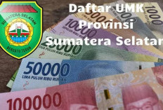 Ini 7 Daerah di Sumsel Yang Sepakat Naikkan UMK 6,5%