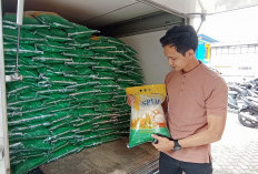 Stok Beras 600 Ton untuk Jatah 3 Bulan