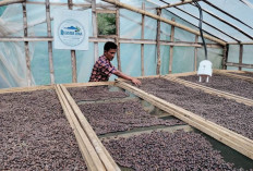  Sektor UMKM Dominasi Penerbitan NIB di Rejang Lebong