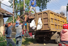 Truk Sampah Pengadaan 2023 Beroperasi di PUT dan Sekitarnya