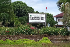 Pelaku Usaha Harus Tertib Urus Perizinan