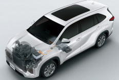 Mobil Toyota Ini Dominasi Penjualan Mobil Hybrid Nasional