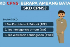 Yuk. Kamu Harus Tahu, Ini Nilai Ambang Batas Tes SKD CPNS