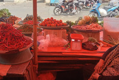 Faktor Musim Kopi, Harga Cabai Ikut Naik