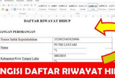 Ini Konsekuensi bagi Honorer yang Salah Isi Pemberkasan DRH PPPK 2024