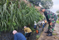 Bersihkan Aliran Irigasi, Kodim 0409/RL Perlancar Pasokan Air untuk Petani