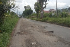 Jalan Jalur 2 Rusak, Warga dan Pengendara Minta Pemerintah Respon untuk Perbaikan