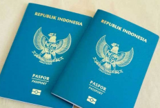 Ini 47 Negara Bebas Visa untuk Pemegang Paspor Indonesia