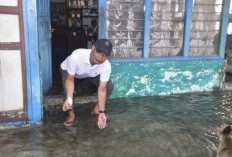  Mata Air Tiba-Tiba Muncul di Permukiman Talang Rimbo, Tiga Rumah Terendam