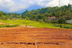 5 Penyebab Utama Kenaikan Harga Tanah yang Wajib Diketahui !