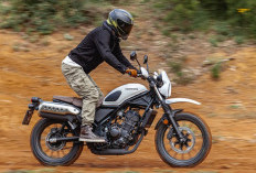 Bukan Sekadar Tampan ! Ini Alasan Honda CL250 Layak Masuk Garasimu
