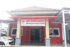 Ini Update Stok Darah PMI 