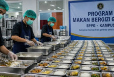 MBG Jangkau 62,4 Juta Penerima, Mulai dari Anak Sekolah hingga Ibu Hamil