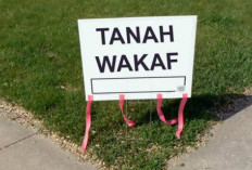 Tips Mengurus Sertipikat Tanah Apabila  Dokumen Wakaf Hilang  ​