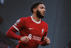 Chelsea Incar Joe Gomez